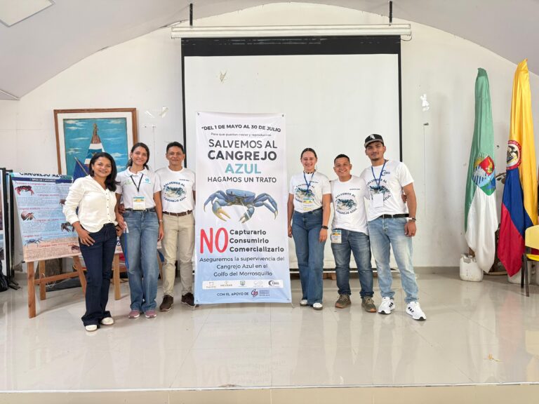 foto 2° conv cangrejo azul